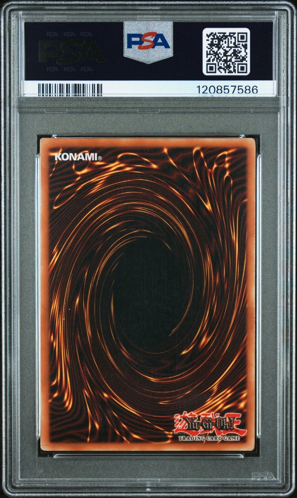PSA 6 BLACK ROSE DRAGON GHOST RARE CSOC - EN039 CROSSROAD OF CHAOS YUGIOH ENGLISH