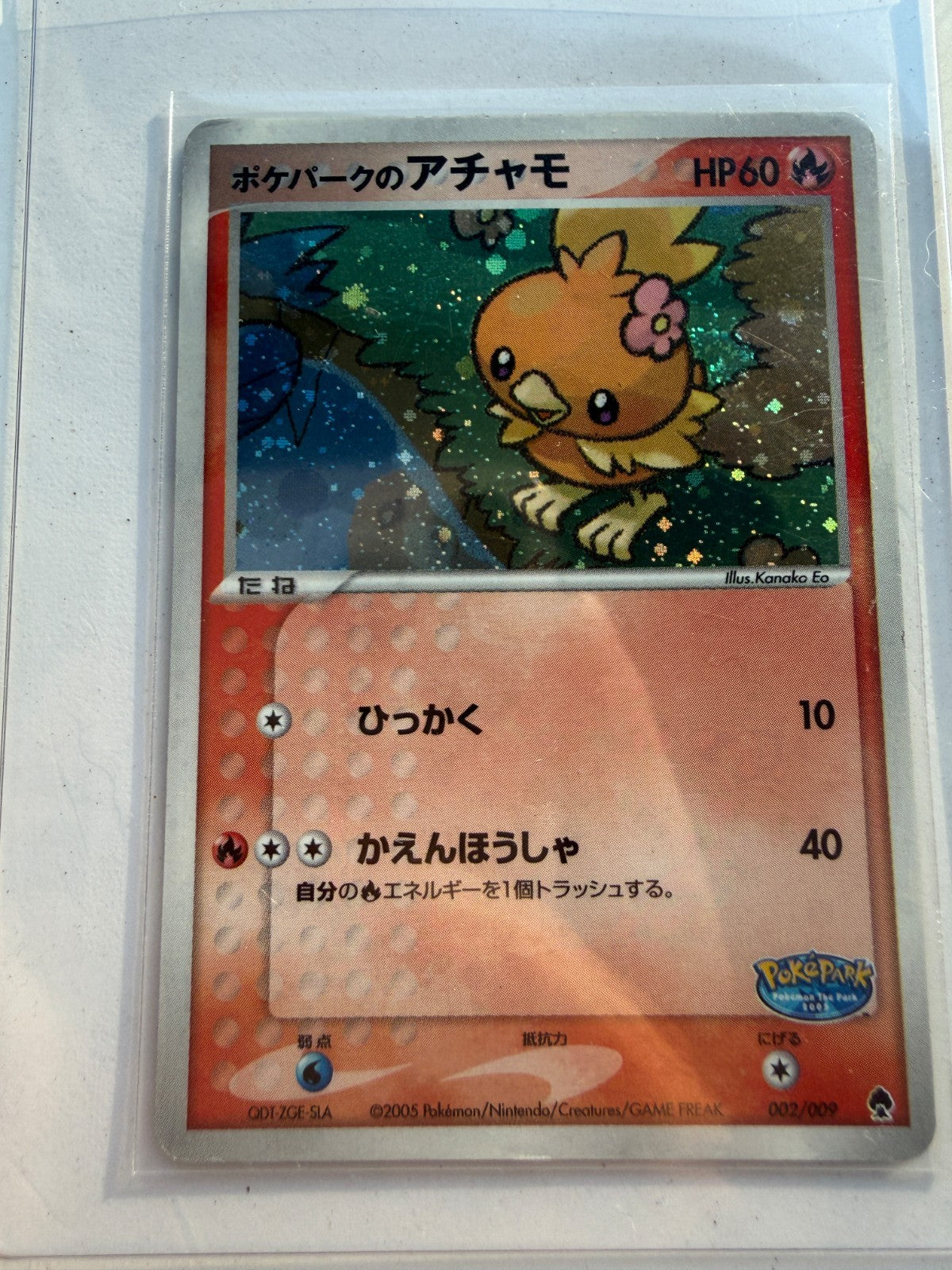PokePark's Torchic 002/009 Holo PokePark Forest Japanese Pokemon HP