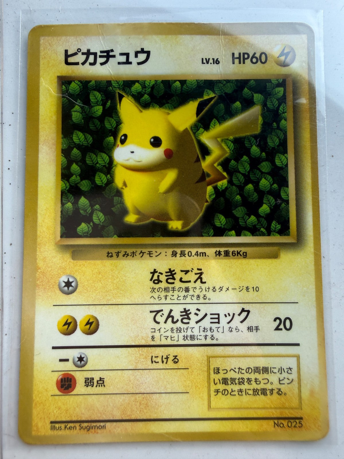 1996 Ivy Pikachu NO. 025 Promo CoroCoro Comics Pokemon Japanese Sugimori HP #6