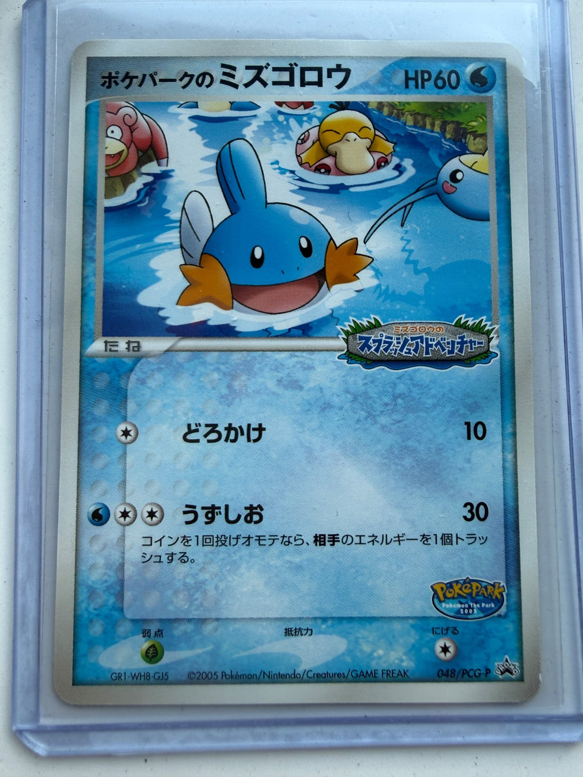 Pokemon TCG Japanese Pokepark's  Mudkip #Promo 048/PCG-P MP