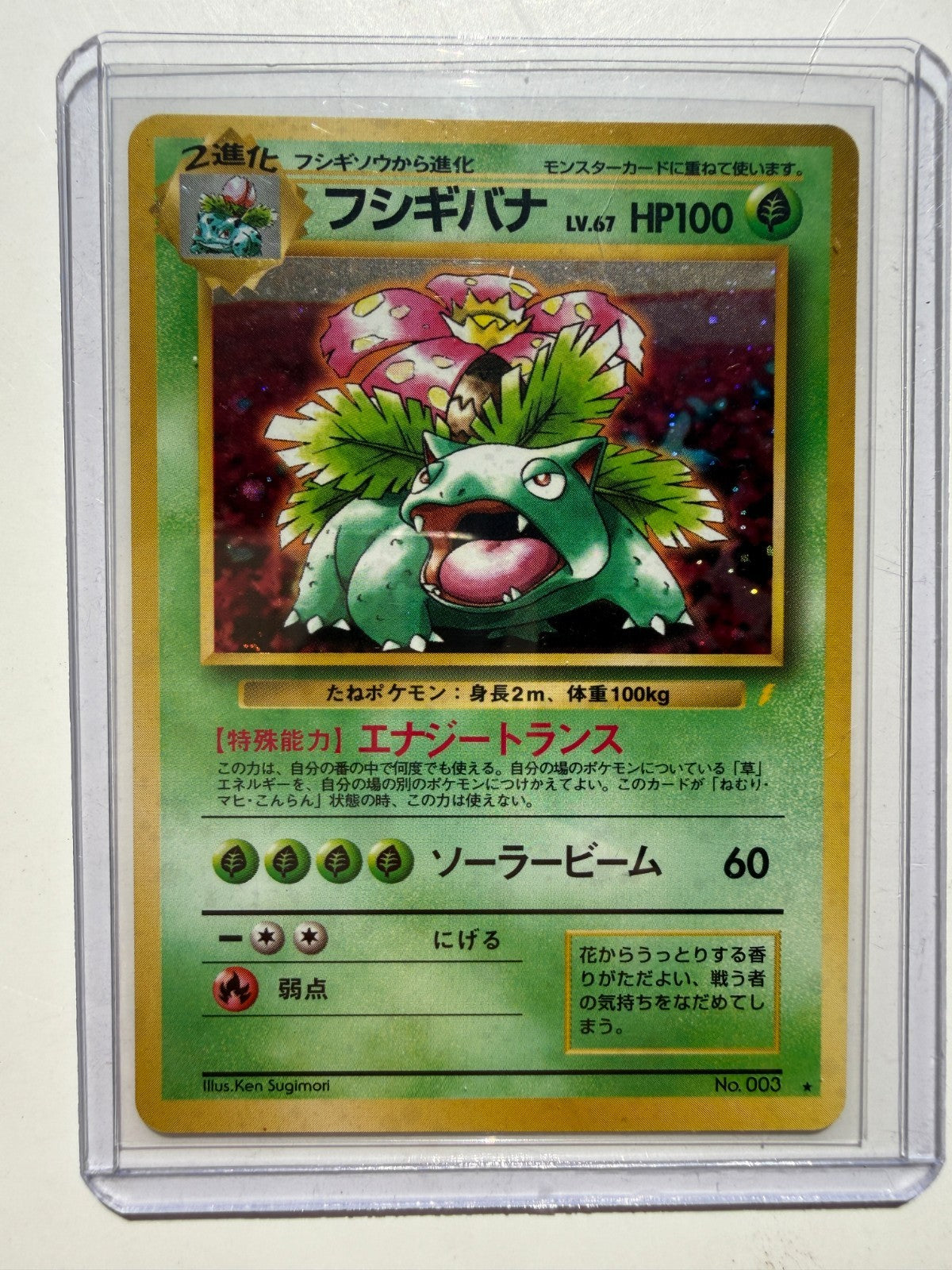 Pokemon Charizard Blastoise Venusaur CD Promo 1999 3 Set Holo Japanese HP