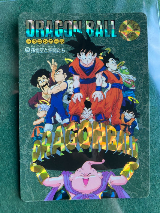 1995 Majin Buu & Z Warriors #256 Prism - Dragon Ball Visual Adventure Part LP