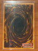 Dark Paladin MFC-105 LP+ Magician's Force Unlimited Ultra Rare Holo Yugioh