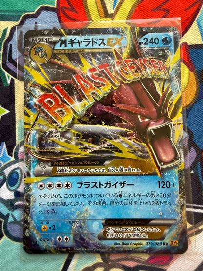 M Gyarados EX 019/080 XY RR Pokemon Japanese NM