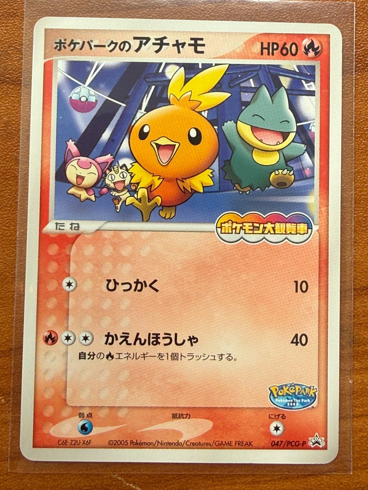Poke Park's Torchic 047/PCG-P Promo Hobby Pokemon Japanese NM