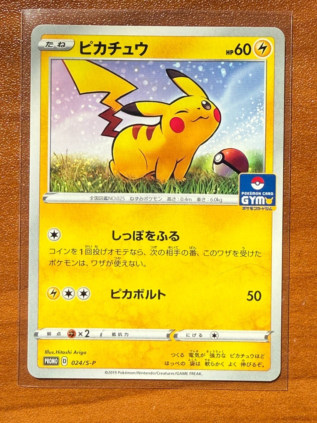 Pokemon TCG Pikachu GYM Promo 2019 PROMO 024/S - P Japanese LP