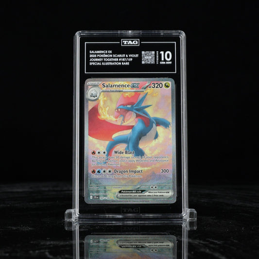 TAG 10 - Salamence ex 187/159 Special Illustration Rare Journey Together Pokemon