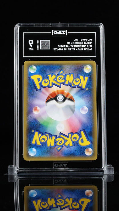 TAG 9 Primal Groudon EX UR 094/081 XY7 Bandit Ring Japanese Pokemon 2015